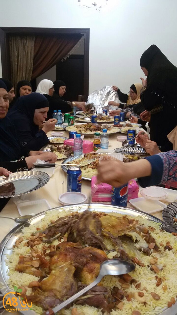 zibda yaffa jadda (2).jpg